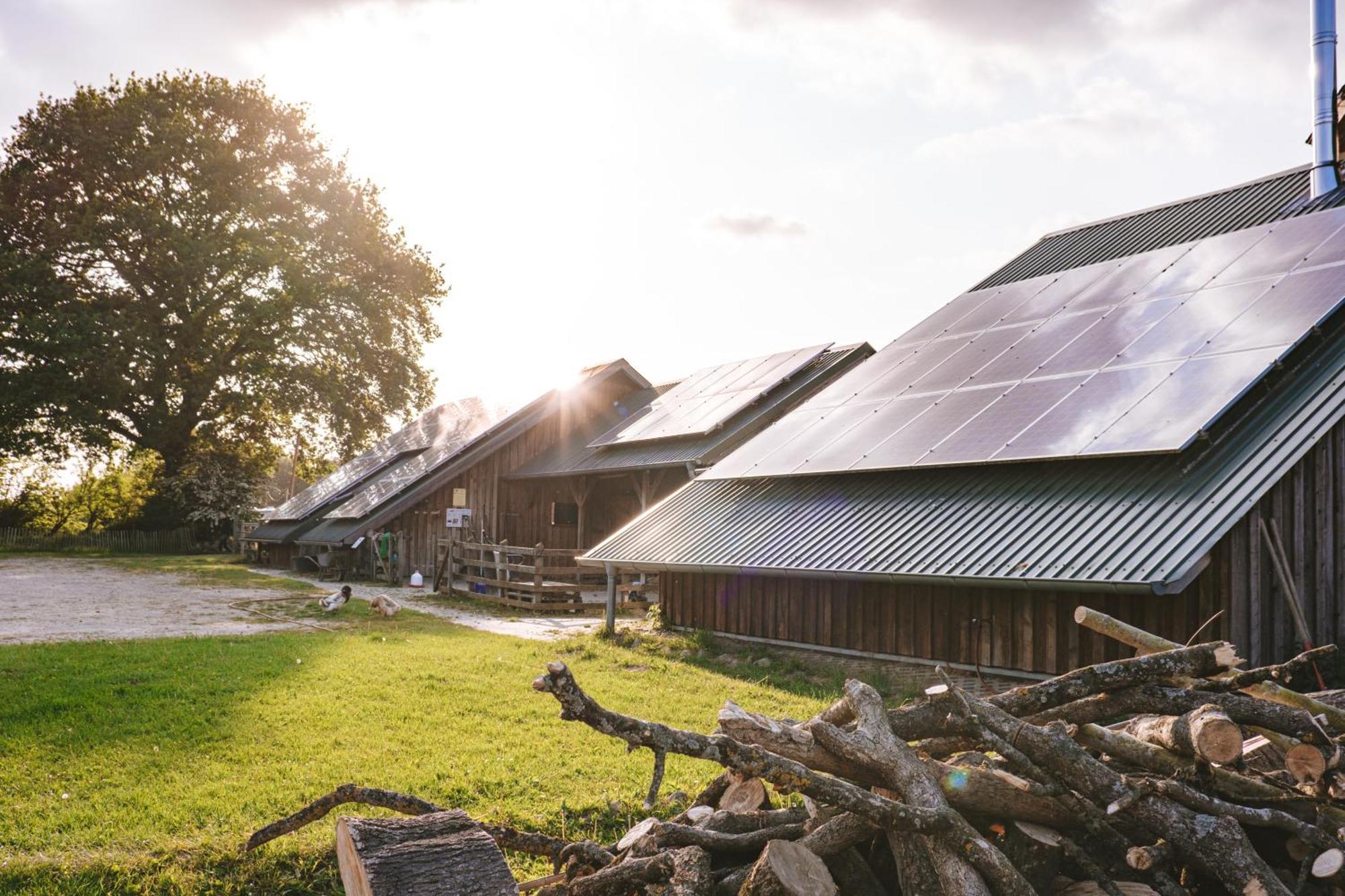 Hotel Domo Camp - Nature Glamping Hof Viehbrook Rendswuhren Exteriér fotografie