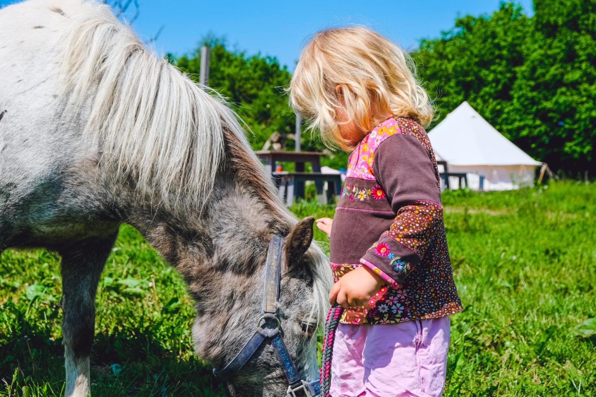 Hotel Domo Camp - Nature Glamping Hof Viehbrook Rendswuhren Exteriér fotografie