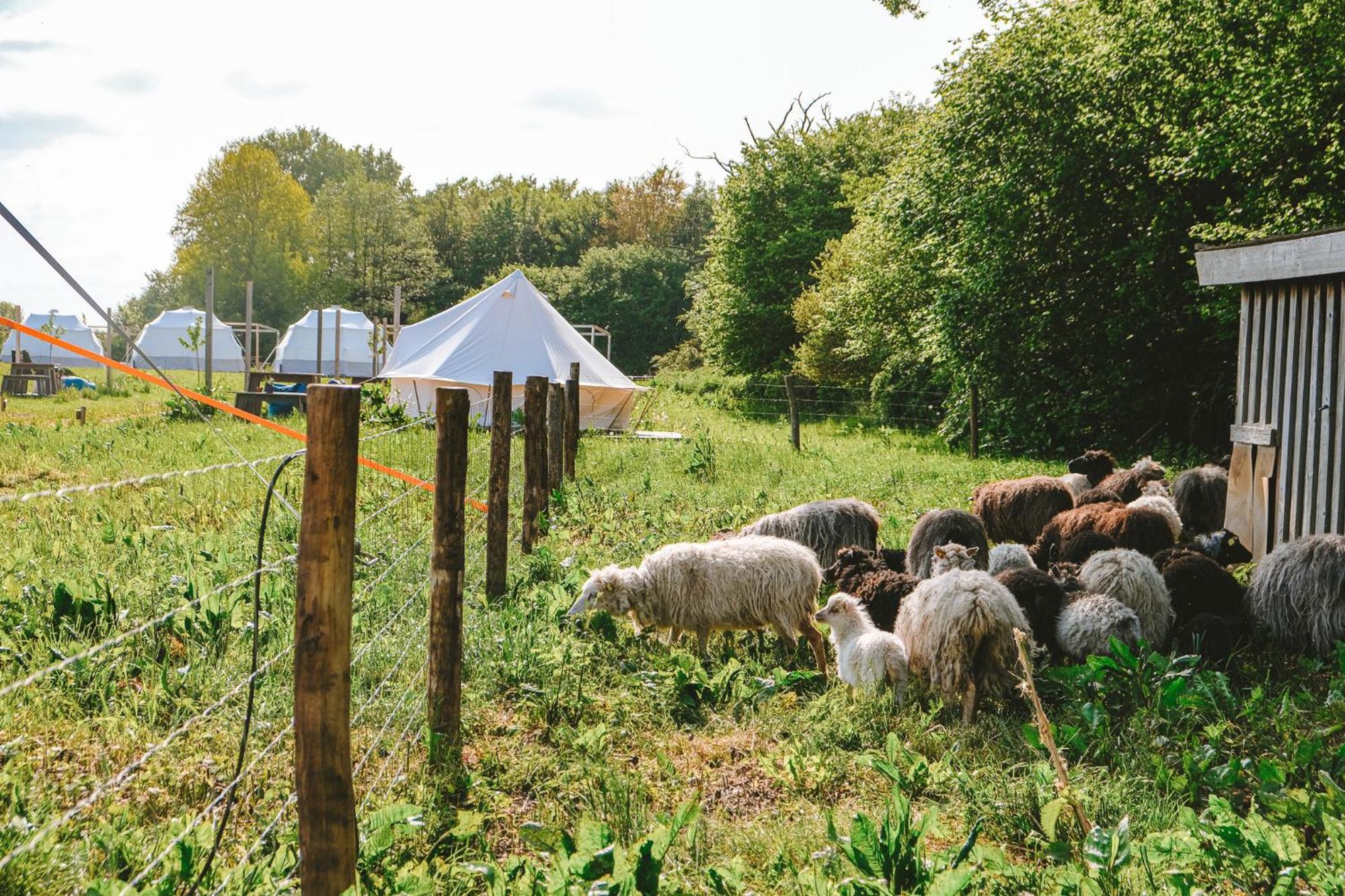 Hotel Domo Camp - Nature Glamping Hof Viehbrook Rendswuhren Exteriér fotografie